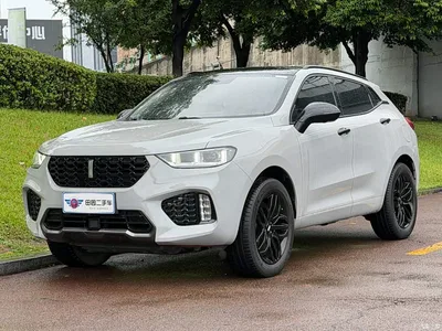 2017 WEY VV5 2.0T Super Luxury Model, фото 1, лот 10621913