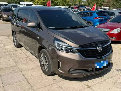 2021 Buick GL8 Land Business Class 652T Smart Luxury, фото 2, лот 11199034