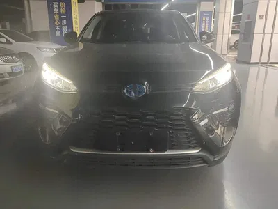 2020 Toyota Wildlander Hybrid 2.5L E-CVT AWD Luxury Edition, фото 2, лот 10611955
