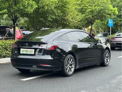 2022 Tesla Model 3 Model Rear-Wheel Drive Version, фото 3, лот 10354856