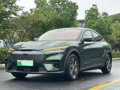 2021 Ford Mustang Mach-E Boundless RWD Edition (Long Range), фото 1, лот 11348447