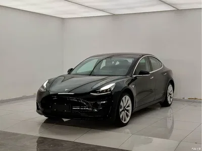 2019 Tesla Model 3 Standard Range Rear-Wheel Drive Upgrade, фото 1, лот 10352451