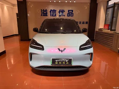 2024 Wuling Motors Wuling Binguo PLUS 510km Range 5-seater, фото 2, лот 10836399