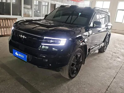 2025 Byd Leopard 8 Zhiyong Flagship 7-Seater, фото 1, лот 10835096