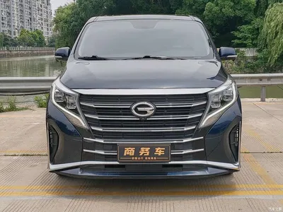 2023 GAC Trumpchi Trumpchi M8 Leading Series 390T Prestige Edition, фото 2, лот 10418970