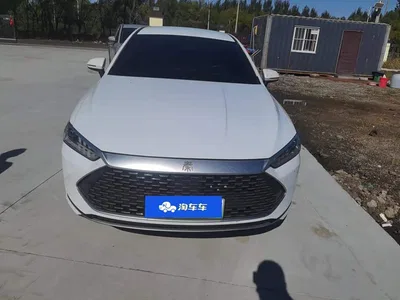 2024 BYD Qin PLUS Glory Edition DM-i 55KM Leading, фото 2, лот 11249091