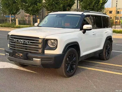 2024 Haval Meng Long NEV Hi4 102 Air, фото 1, лот 10281968