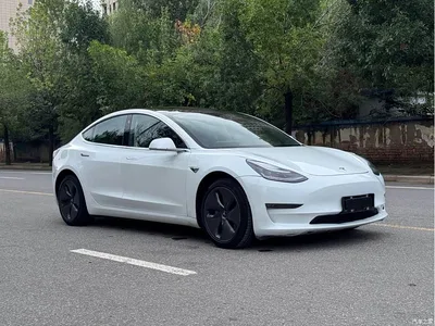 2019 Tesla Model 3 (Import) Long Range All-Wheel Drive Edition, фото 3, лот 10357164
