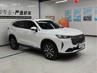 2022 Haval H6 3rd Gen 1.5T Auto 2WD Pro, фото 3, лот 10414927