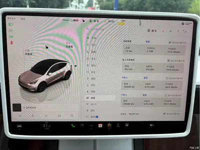 2023 Tesla Model Y Rear-Wheel Drive Edition, фото 4, лот 10838819