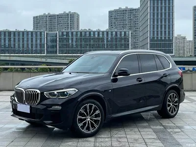 2019 BMW X5 (Import) xDrive30i M Sport Package, фото 1, лот 10343557