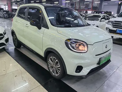 2024 Leapmotor T03 403 Comfort Edition, фото 3, лот 10316765