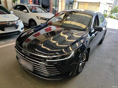 2023 BYD Destroyer 05 Champion Edition DM-i 55KM Luxury, фото 2, лот 11583409