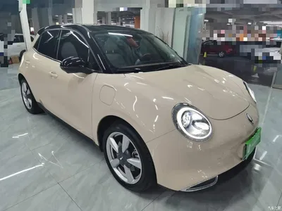 2022 Ora Good Cat Model Morandi Edition 400km Standard Range Premium NCM, фото 4, лот 10330734