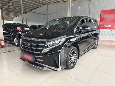2023 GAC Trumpchi Trumpchi M8 Leading Series 390T Prestige Edition, фото 2, лот 10323864