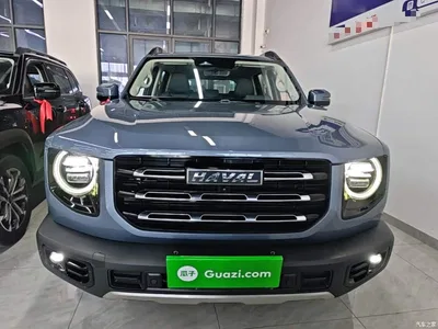 2021 Haval Big Dog 2.0T DCT 4WD Chinese Rural Dog Edition, фото 3, лот 11564510