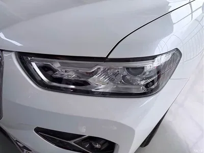 2020 Haval H6 1.5GDIT Automatic Platinum Ultra Luxury Edition, фото 4, лот 10298394