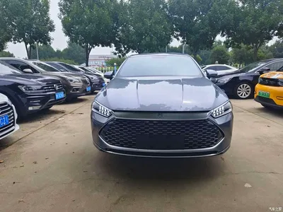 2024 BYD Qin PLUS Glory Edition DM-i 55KM Leading, фото 2, лот 10363495