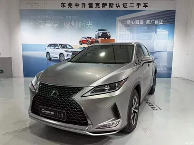 2020 Lexus RX 300 2WD Comfort Edition China VI, фото 1, лот 11194731