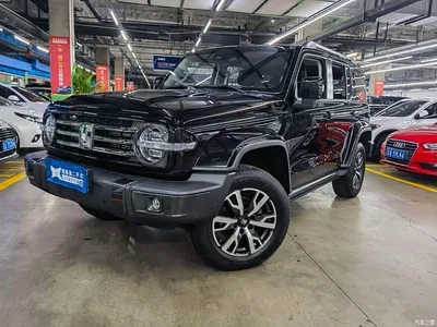 2021 Tank 300 Urban Edition 2.0T Stylish, фото 1, лот 10344577