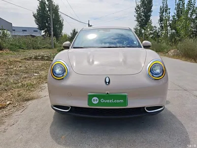 2023 Ora Good Cat 401km Standard Range Honor Edition (LFP), фото 3, лот 10387827