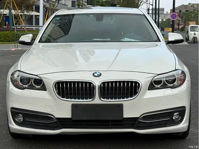 2014 BMW 5 Series 525Li Luxury Design Package, фото 2, лот 10900083