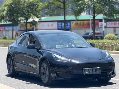 2021 Tesla Model 3 Facelift Standard Range RWD Upgrade 3D1, фото 3, лот 10352972