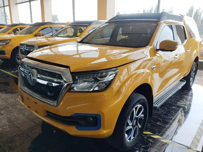2023 Dongfeng Rich 6 New Energy Palasso Van Standard Edition 320km, фото 1, лот 11189468