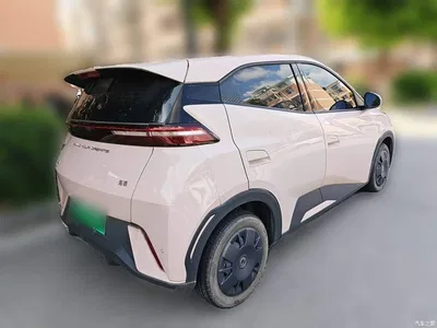 2024 BYD Seagull Glory Edition 305km Vitality Edition, фото 4, лот 10306589