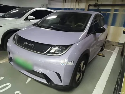 2023 BYD Dolphin 420km Freedom Edition, фото 1, лот 10894383
