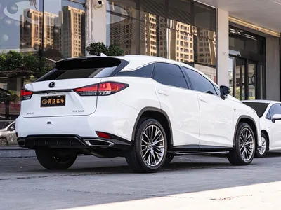 2020 Lexus RX 300 AWD F SPORT (China VI), фото 3, лот 11582109