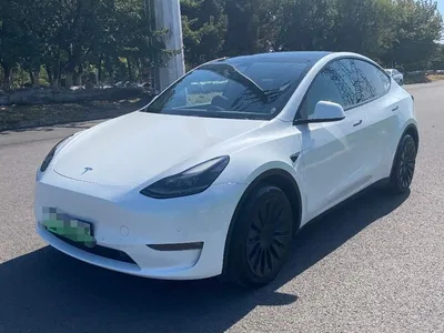 2021 Tesla Model Y Standard Range Rear-Wheel Drive, фото 1, лот 11188525