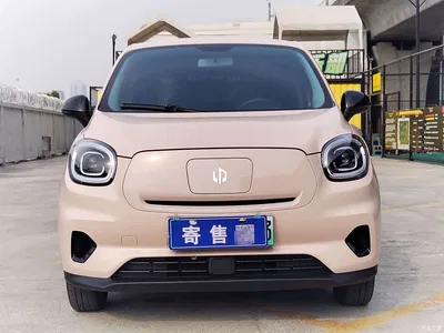 2022 Leapmotor T03 Pearl Edition, фото 3, лот 11187490