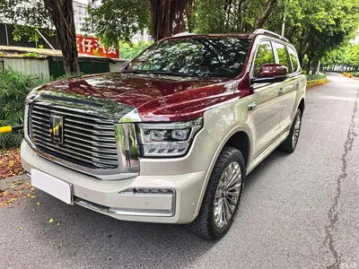 2022 Tank 500 3.0T Premium Custom Edition 5-Seater, фото 1, лот 10344481