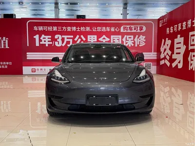 2019 Tesla Model 3 Standard Range Rear-Wheel Drive Upgrade, фото 2, лот 10352061