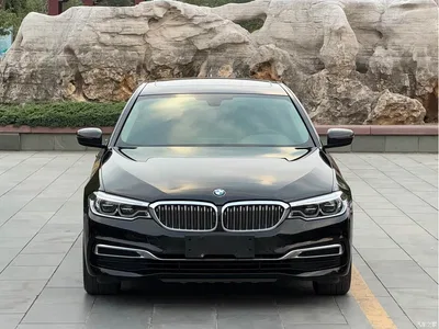 2020 BMW 5 Series 530Li Leading Luxury Package, фото 2, лот 11196093