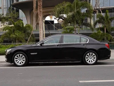 2009 BMW 7 Series 730Li Luxury, фото 4, лот 10427898