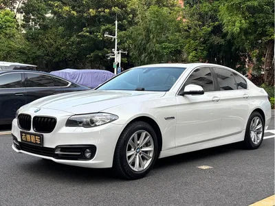 2014 BMW 5 Series (Import) 520i Classic, фото 1, лот 11217691