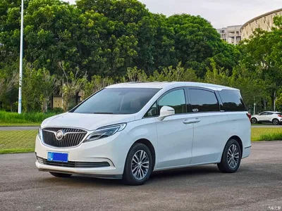 2018 Buick GL8 ES 28T Luxury Type China VI, фото 1, лот 10886646