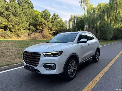 2018 Haval H6 Red Label 1.5T Automatic Luxury, фото 1, лот 10402215