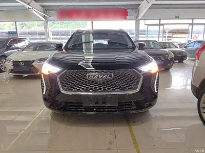 2021 Haval First Love 1.5T Automatic Premium Edition, фото 3, лот 11165203