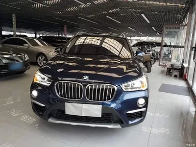 2018 BMW X1 xDrive20Li Premium Model, фото 3, лот 11461697
