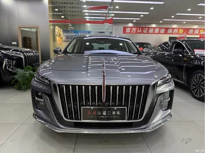 2023 Hongqi H5 1.5T DCT Smart Connect Flag Rhythm, фото 2, лот 10288098