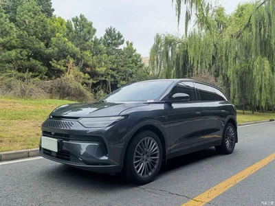 2023 Leapmotor C11 Extended Range 200 Comfort Edition, фото 1, лот 10315641