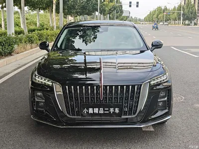 2024 Hongqi H5 2.0T Automatic Smart Connect Flag Smooth Edition, фото 2, лот 10612742