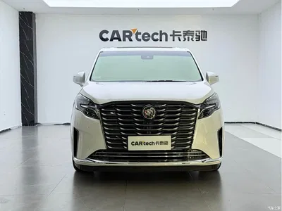 2023 Buick GL8 ES Landmaster Exclusive, фото 3, лот 10250980