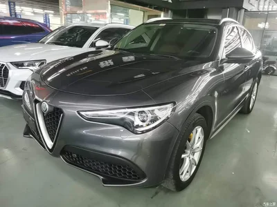 2017 Alfa Romeo Stelvio 2.0T 200HP Luxury Edition, фото 1, лот 10598399