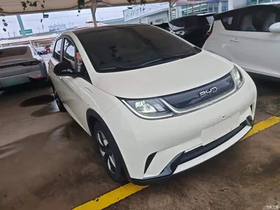 2025 BYD Dolphin 420km Fashion Edition, фото 4, лот 10263933