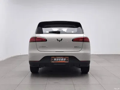 2024 Wuling Motors Wuling Binguo PLUS 510km Range 5-seater, фото 4, лот 10836438
