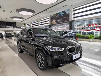 2020 BMW X5 (Import) xDrive40i M Sport Package, фото 3, лот 11097786